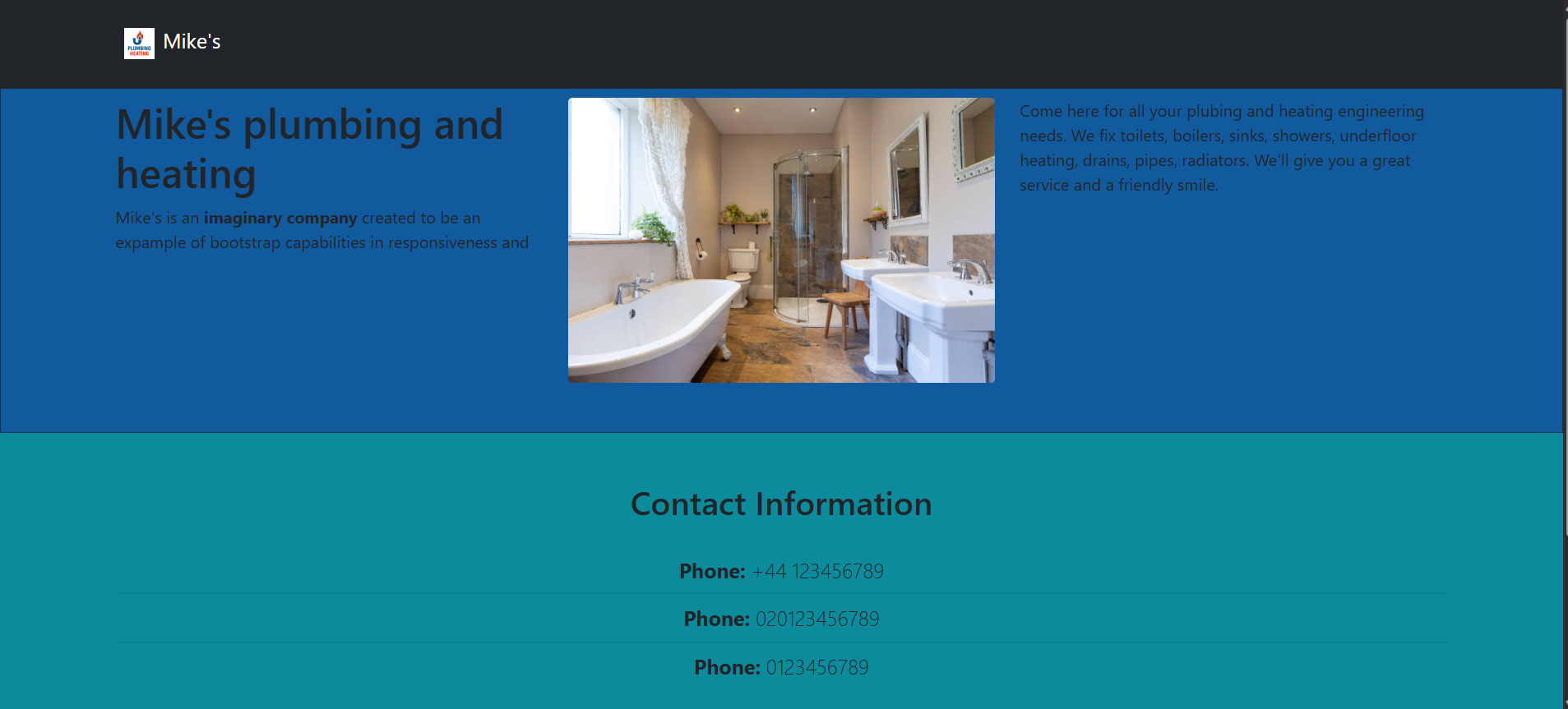 Screenshot of Mike's plumbing bussinesses